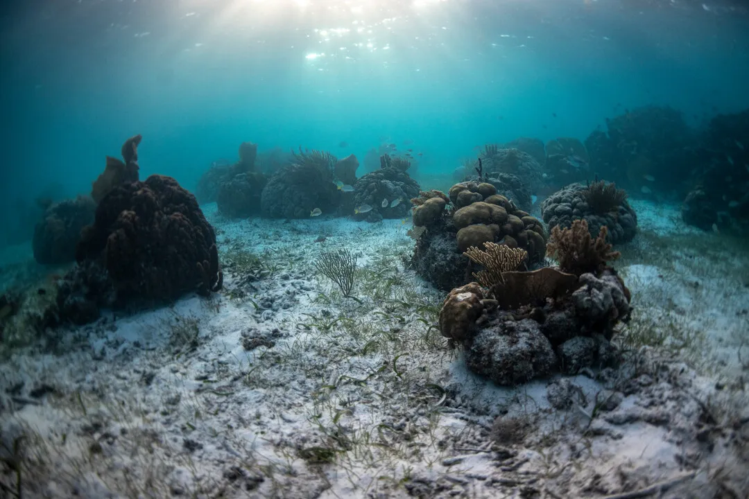 Unterwasserlandschaft mit Felsformationen und eventuellen Überresten versunkener Städte