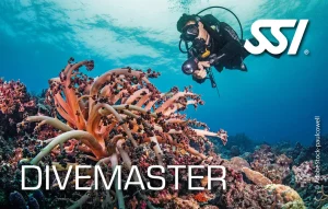 Diving Beyond Limits - Deine Tauchschule in St. Pölten - SSI Divemaster Zertifizierung
