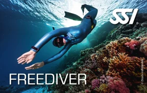 Diving Beyond Limits - Deine Tauchschule in St. P&ouml;lten - SSI Freediver