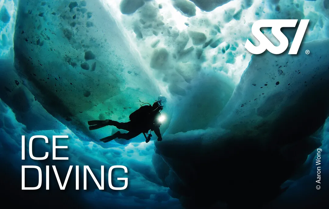 Diving Beyond Limits – Deine Tauchschule in St. Pölten – SSI Ice Diving Zertifizierung