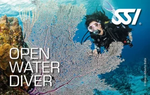 Diving Beyond Limits - Deine Tauchschule in St. Pölten - SSI Open Water Diver Zertifizierung