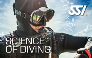 Diving Beyond Limits – Deine Tauchschule in St. Pölten – SSI Science of Diving Zertifizierung