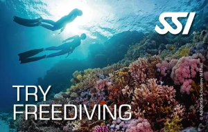 Diving Beyond Limits - Deine Tauchschule in St. P&ouml;lten - SSI Try Freediving Anerkennungskarte