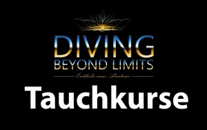 Tauchkurse