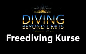 Freediving Kurse